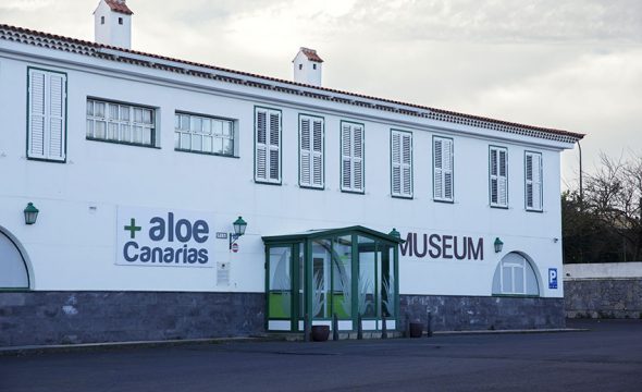 Muzeum Aloesu Aloe Plus Lanzarote na Teneryfie