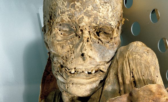 Мумия в Музее природы и археологии на Тенерифе